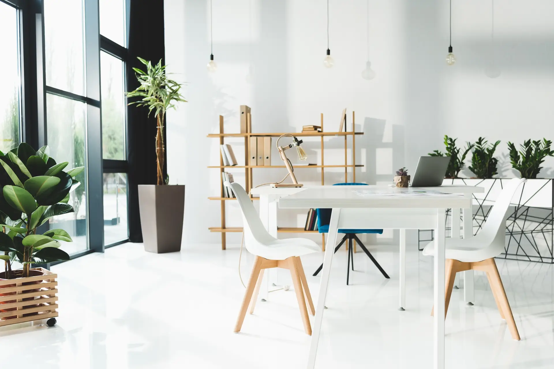 Cleaning Company in Hamilton
